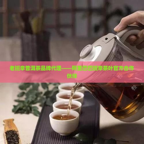 宜春老班章品牌代理