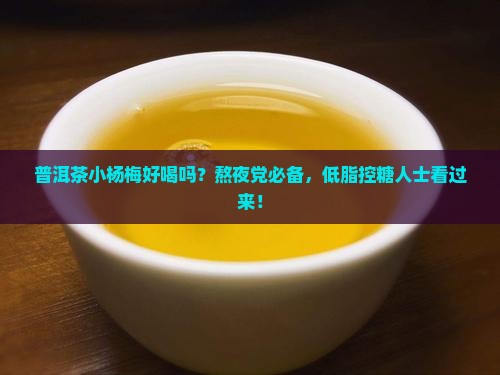 普洱茶小杨梅好喝吗