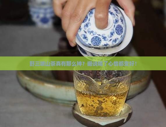 野三坡山茶的功效