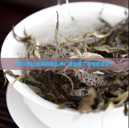 野三坡山茶的功效
