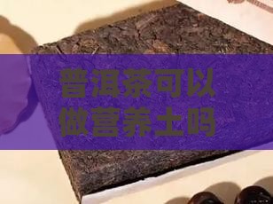 普洱茶可以做营养土吗为什么