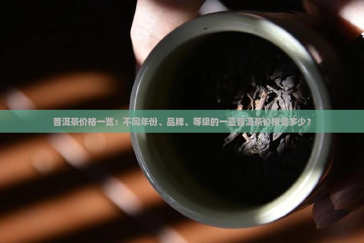 一壶普洱茶的价格查询
