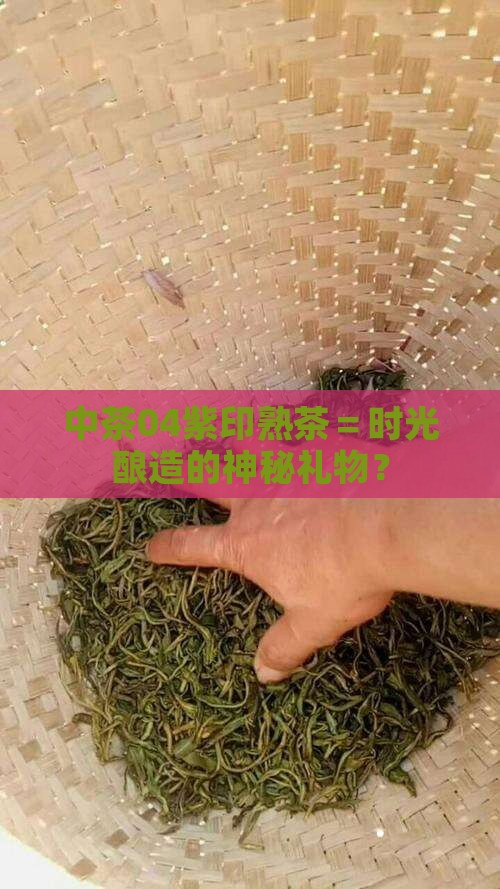 中茶04紫印熟茶