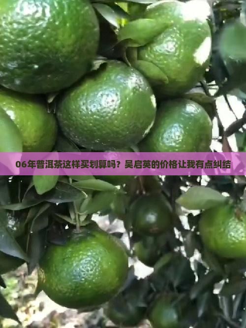 普洱茶06吴启英价格
