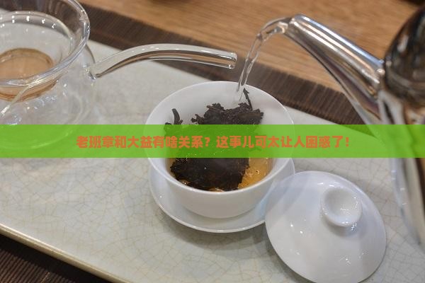 老班章是不是大益的品牌