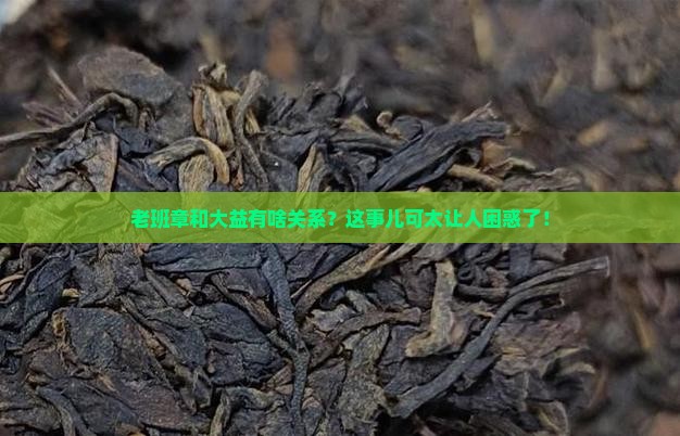 老班章是不是大益的品牌