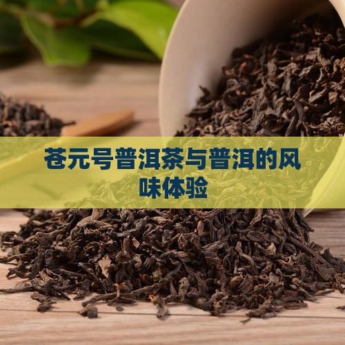 苍元号普洱茶怎么样