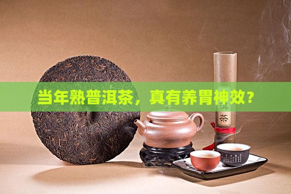 当年熟普洱茶能养胃吗