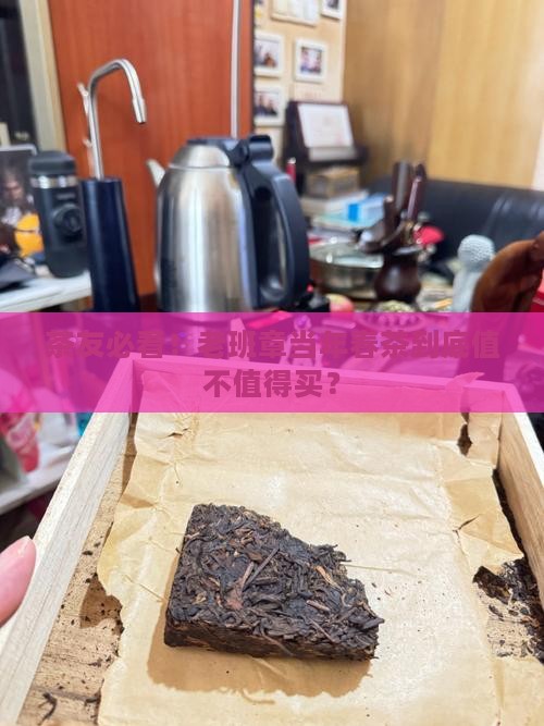 老班章当年春茶