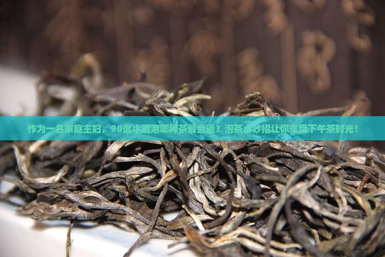九十度水温适合泡什么茶