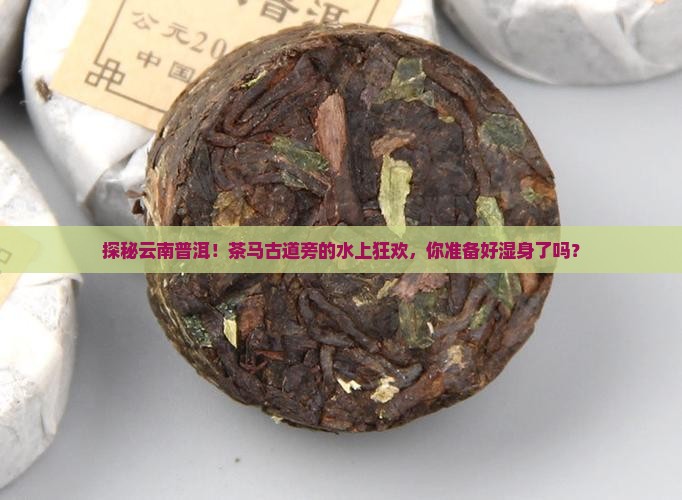 云南普洱茶马驿水乐园