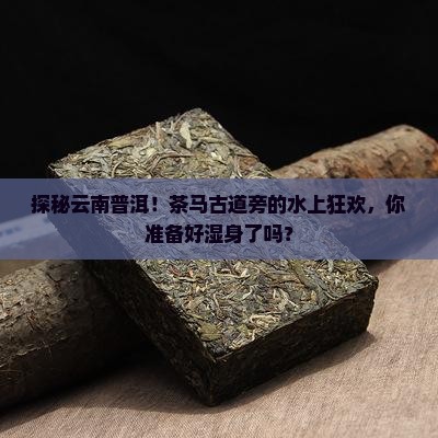云南普洱茶马驿水乐园
