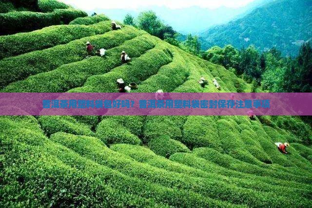 普洱茶用塑料袋包好不