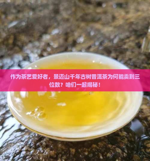 景迈山千年古树普洱茶价格 景迈山千年古树普洱茶价格