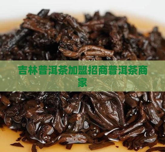 吉林普洱茶招商加盟商家 吉林普洱茶招商加盟商家