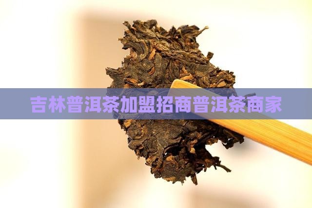 吉林普洱茶招商加盟商家 吉林普洱茶招商加盟商家