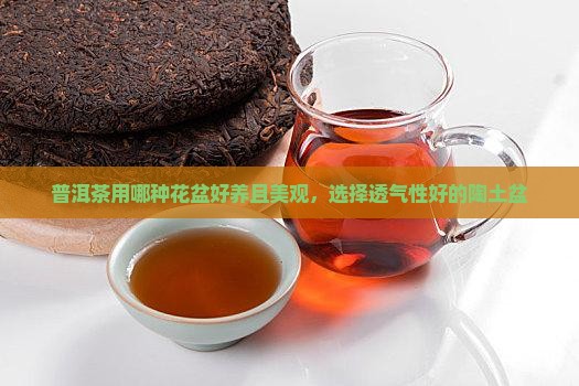 普洱茶用哪种花盆好