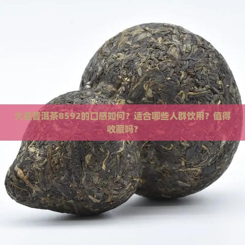 大益普洱茶8592怎么样