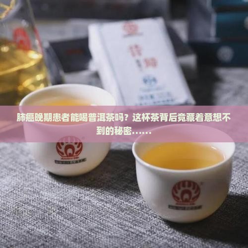 肺癌晚期病人能喝普洱茶么 肺癌晚期病人能喝普洱茶么
