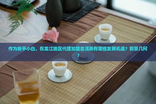 黑龙江普洱茶代理加盟前景 黑龙江普洱茶代理加盟前景