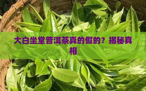 大白坐堂普洱茶 大白坐堂普洱茶