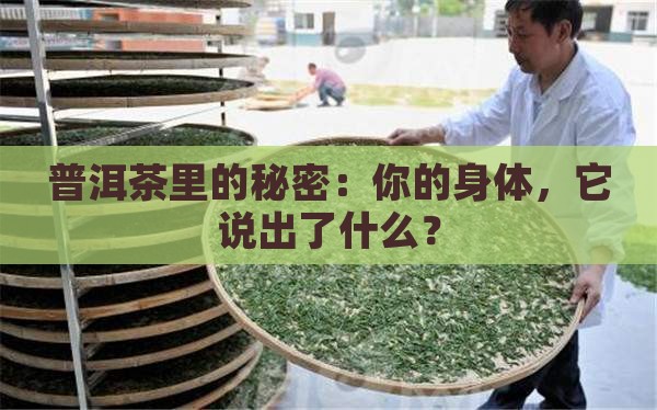 喝普洱茶知道身体状态
