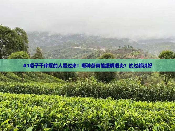 什么茶喝了对咽炎好