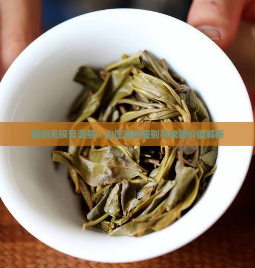 藏剑无极普洱茶