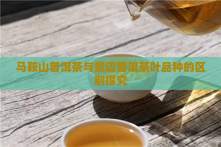 马鞍山普洱茶与景迈的区别