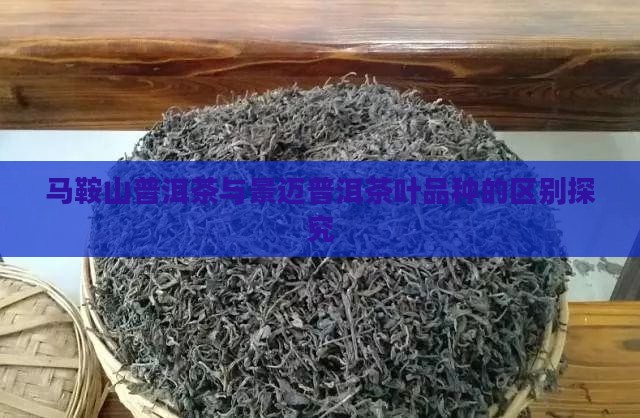 马鞍山普洱茶与景迈的区别