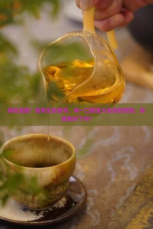 普秀生态普洱茶饼