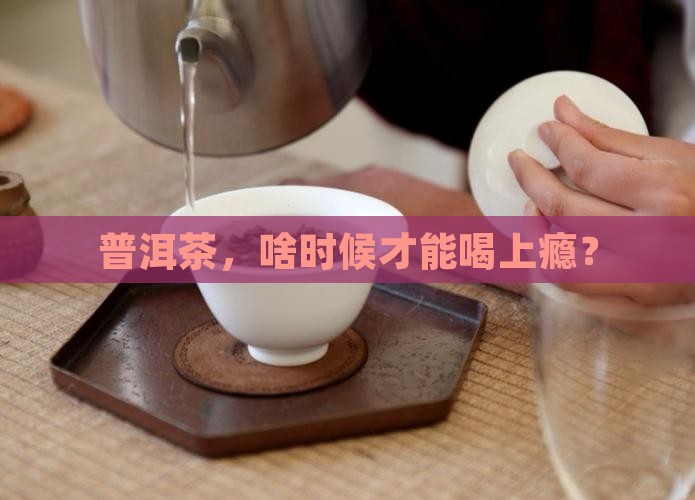 多久可以喝普洱茶