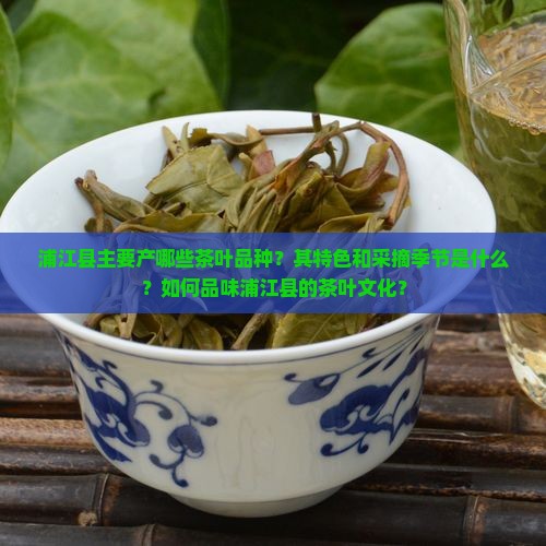 浦江县产什么茶