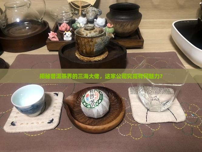 普洱茶的三海是什么公司