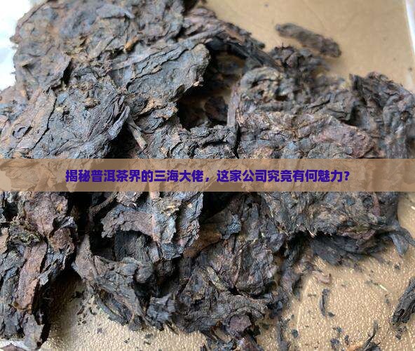 普洱茶的三海是什么公司