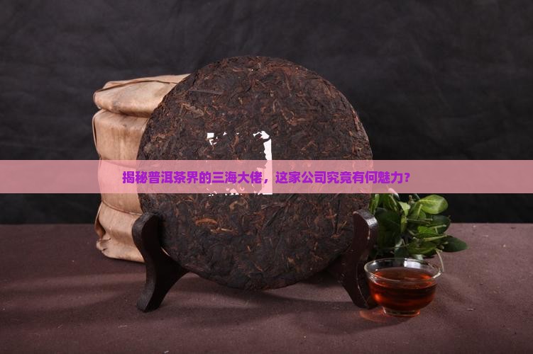 普洱茶的三海是什么公司