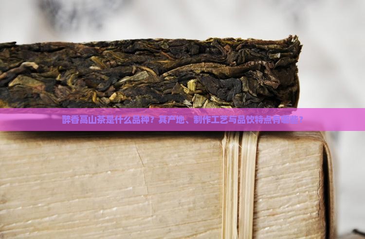 醉香高山茶是什么茶