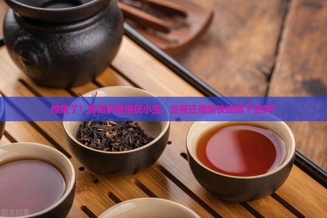 密封的普洱茶有虫子吗还能喝吗