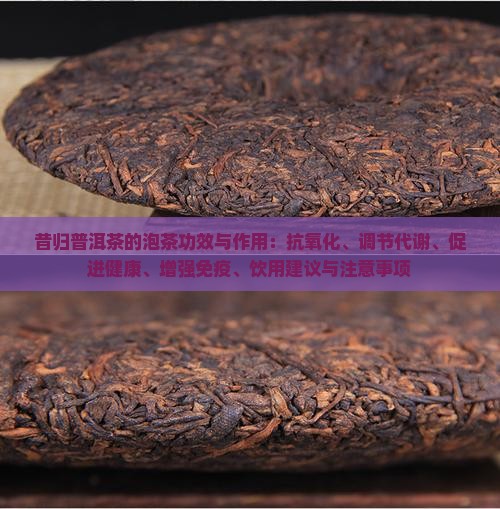 昔归泡茶的功效与作用