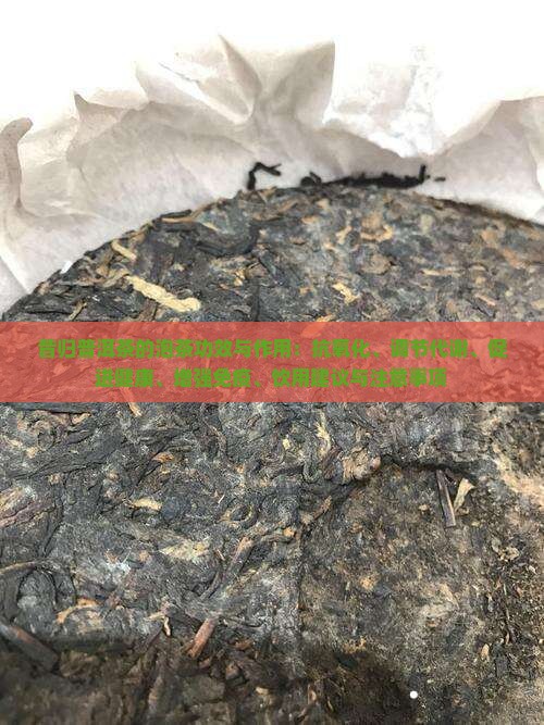 昔归泡茶的功效与作用