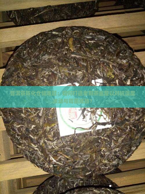 普洱茶中老期茶仓