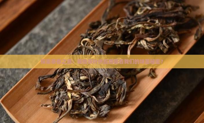 茶叶供应商有哪些