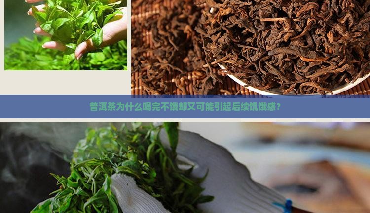 普洱茶为什么喝完不饿