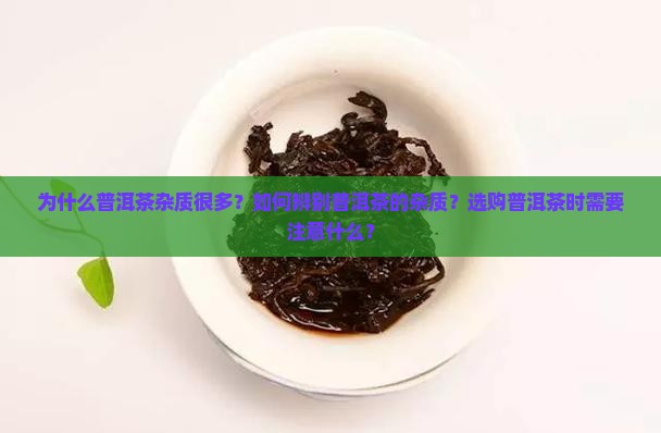 普洱茶杂质很多