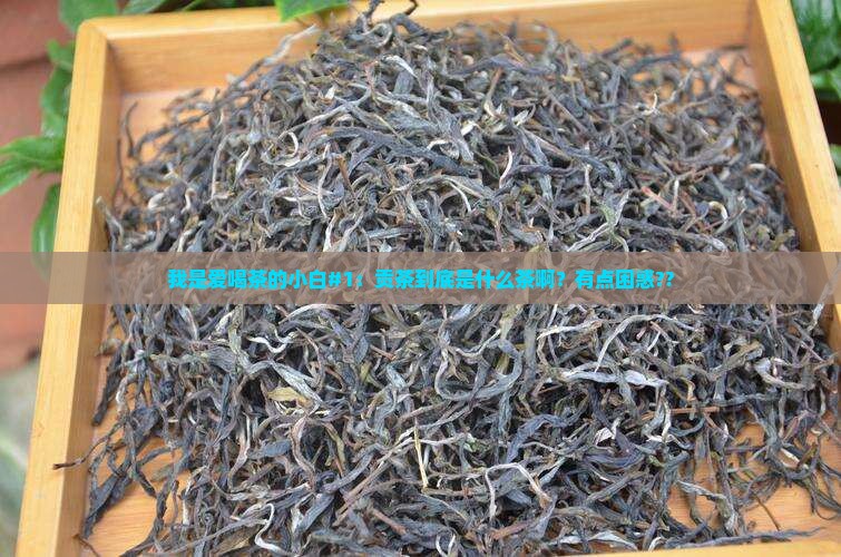 贡茶是属于什么茶