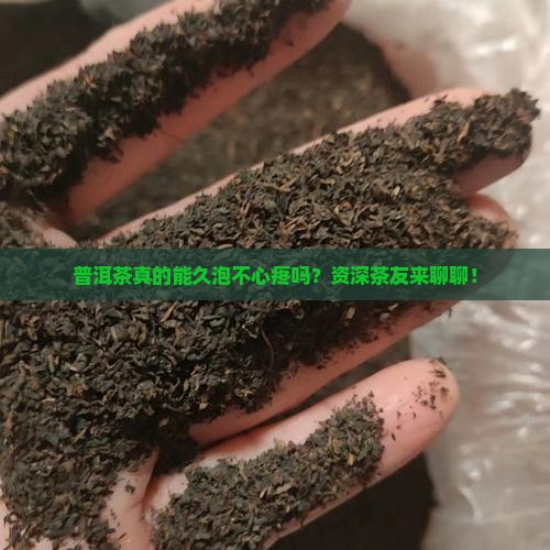 普洱茶适合久泡吗 普洱茶适合久泡吗