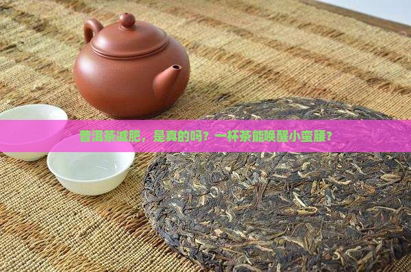 普洱茶减肥茶效果怎么样