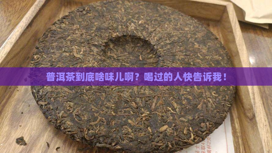 普洱茶是啥味的 普洱茶是啥味的