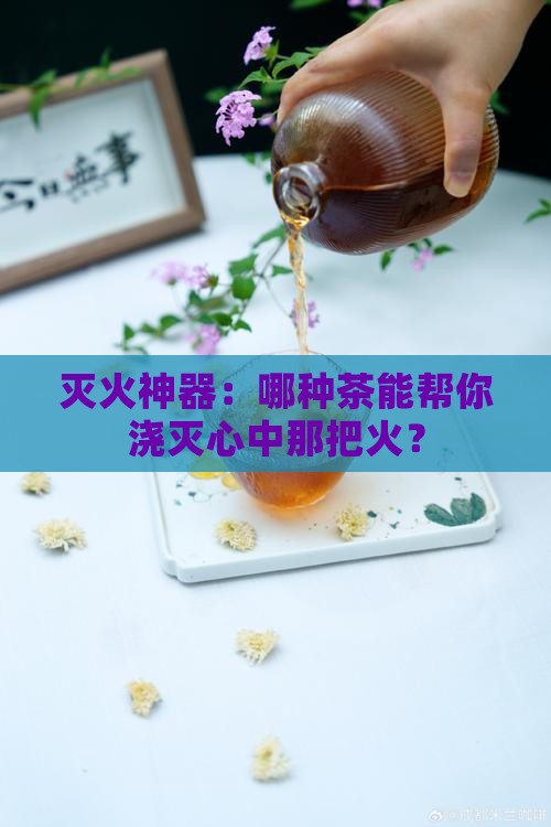去火气喝什么茶