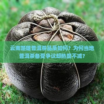 云南楚雄有没有普洱茶好不好